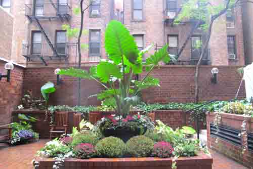 Upper East Side Community Garden